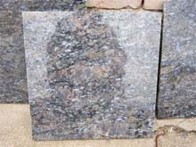 china butterfly blue granite