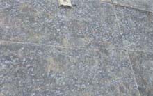 china butterfly blue granite
