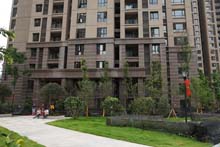 China Baltic Coffee, Blatic Brown Granite Wall cladding project