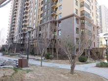 China Baltic Coffee, Blatic Brown Granite Wall cladding project